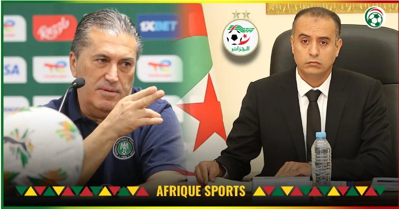 Algeria : Jose Peseiro named as Belmadi’s successor shocks Walid Sadi