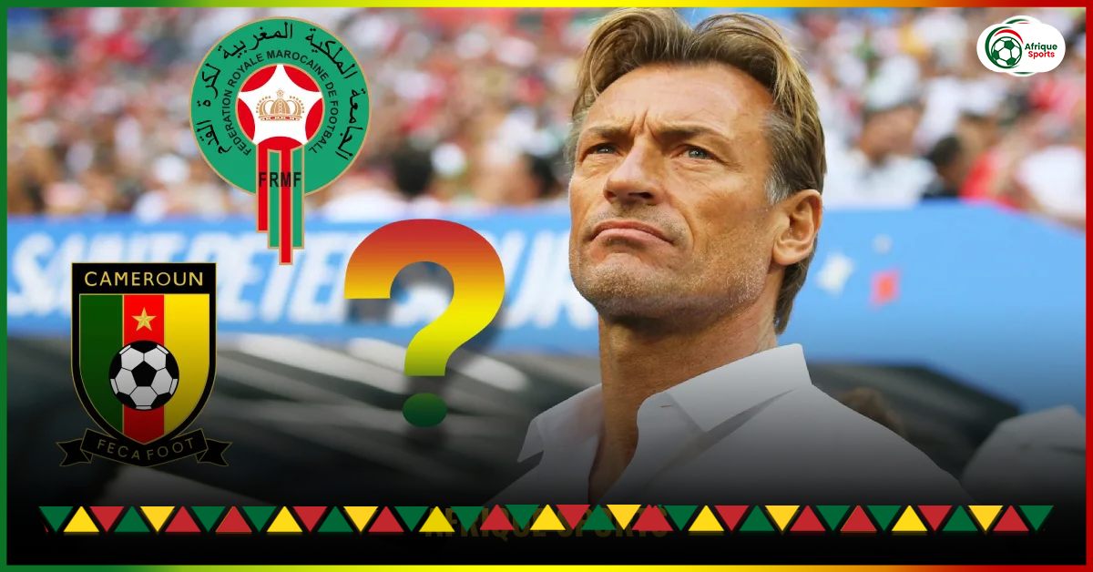 After Cameroon and Morocco, another African giant wants to recruit Hervé Renard