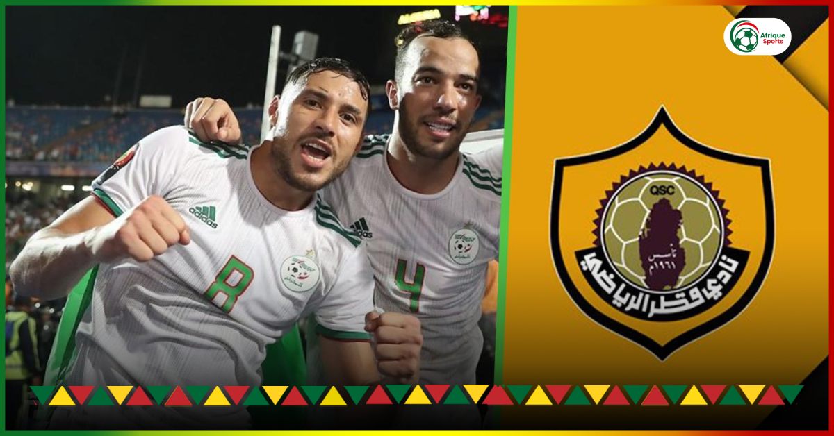 After Belaili and Benlamri, MC Alger are in negotiations with another Fennec!