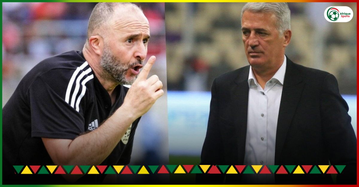 Petkovic is totally opposed to Belmadi on this issue