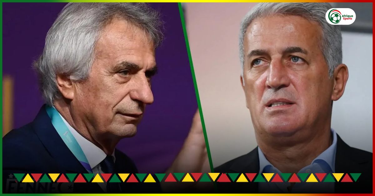 Vladimir Petkovic is already doing better than Halilhodzic and Belmadi
