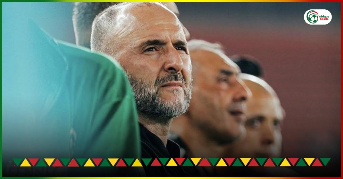 A new destination proposed for Djamel Belmadi