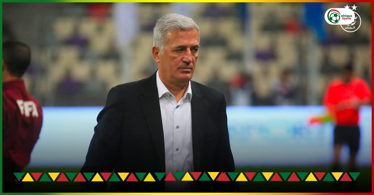 Algeria: A forgotten Belmadi sends a message to Petkovic