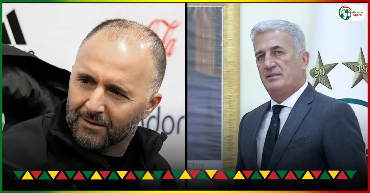 Algeria: Belmadi does Petkovic a huge favour