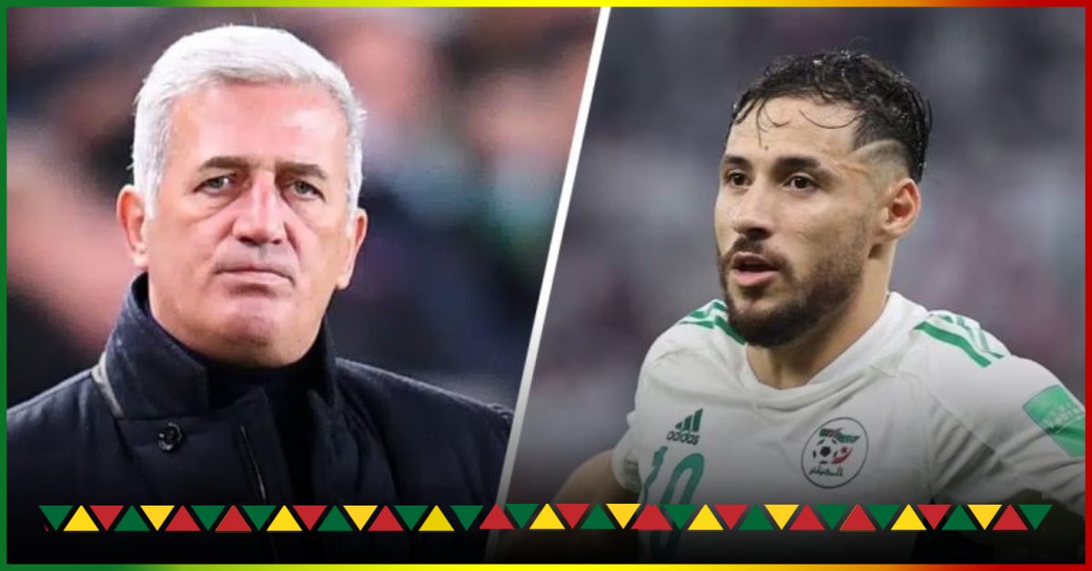 Youcef Belaili: Vladimir Petkovic has made his decision