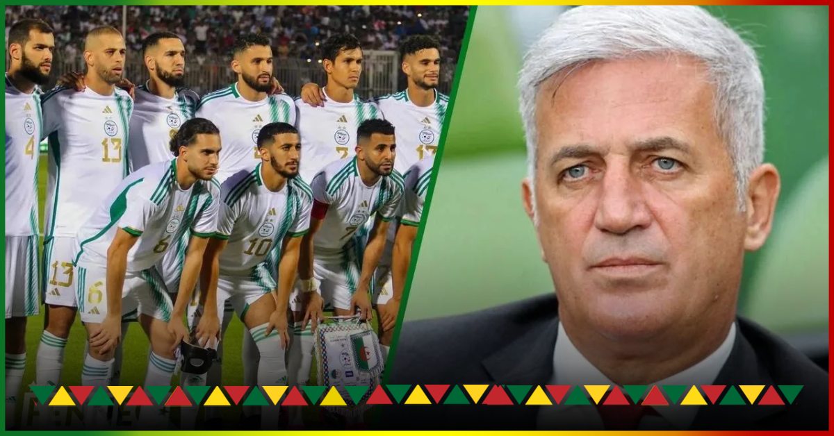 Algeria-Guinea: Vladimir Petkovic’s first permanent starter known