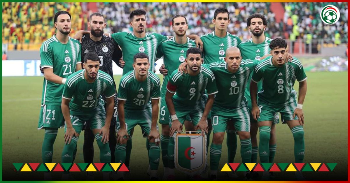 Algeria: a Fennec gets closer to England!