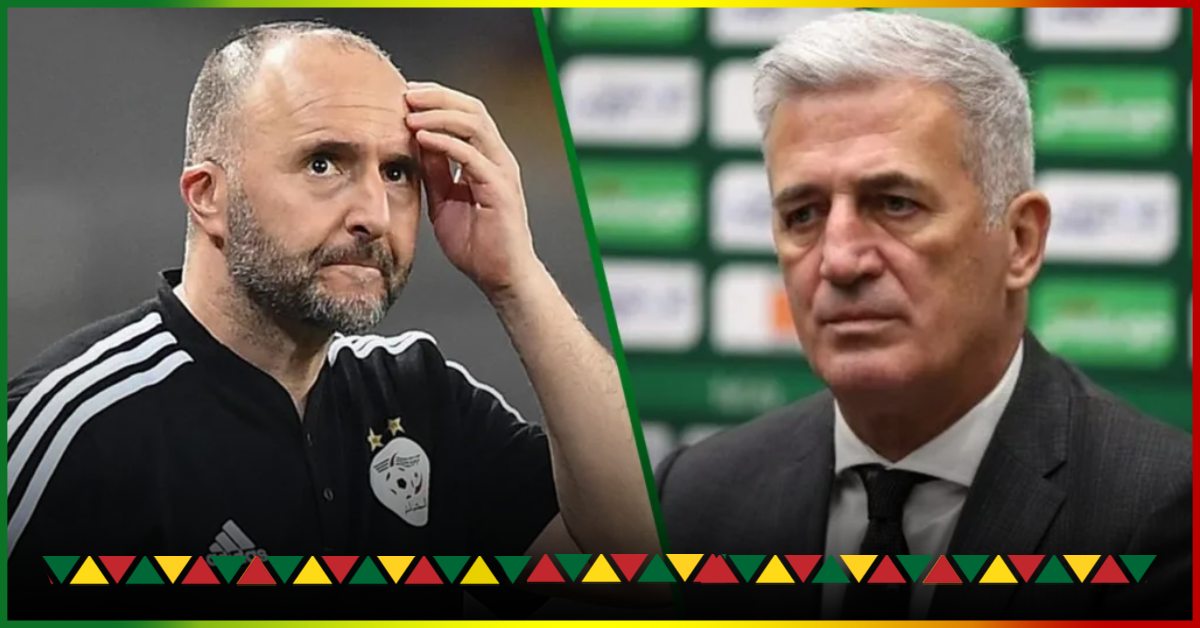 Algerian team: Vladimir Petkovic closes the door on Djamel Belmadi’s manager!