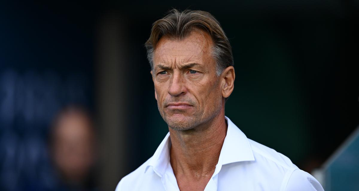 Senegal: Hervé Renard Reveals Why He Did Not Join the National Team!