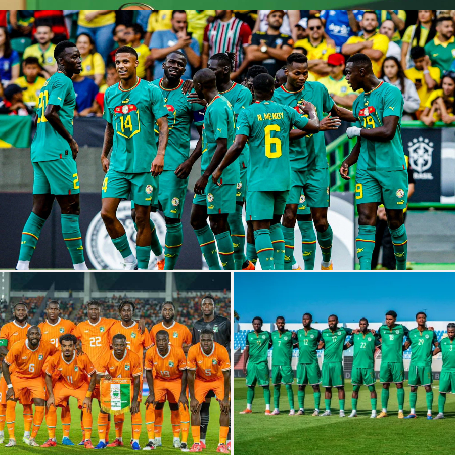 FIFA Rankings : Senegal in the Top 20, Major Drop Confirmed for Ivory Coast and Tunisia