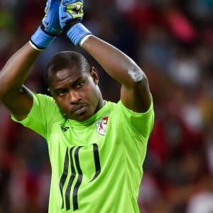 goal vincent enyeama of lille ubzijbe7fbv61t6jrdm9uqc3i