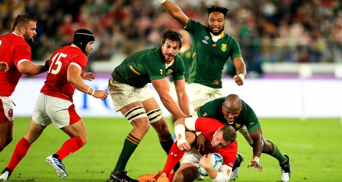 Mondial Rugby : « L’Afrique du Sud est une équipe étouffante », Wilkinson prévient les Anglais