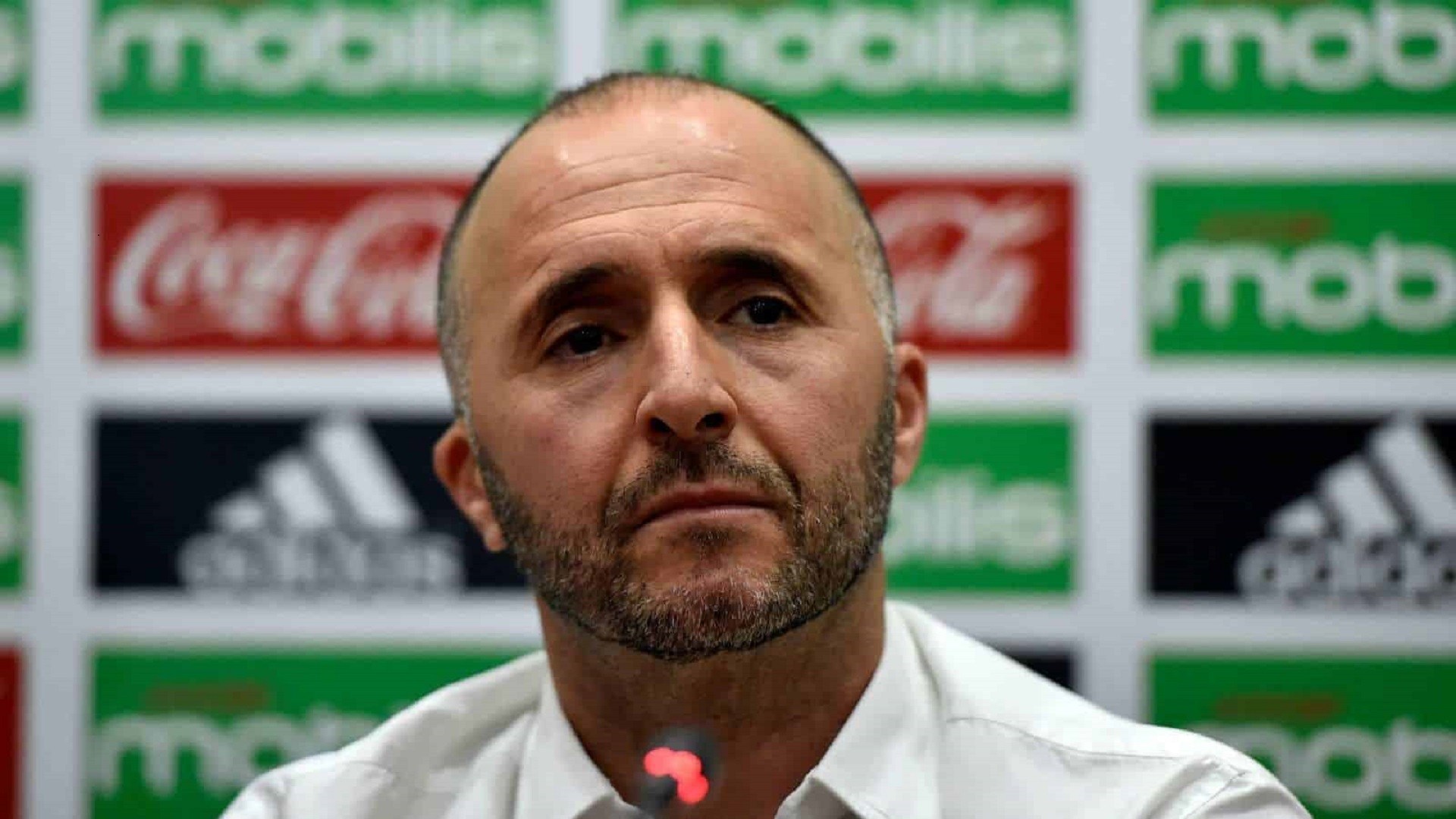 Belmadi cible un Franco-Algérien