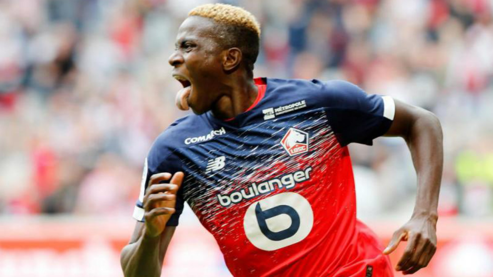 Lille salue la performance de Osimhen  après son 11ème but en Ligue 1