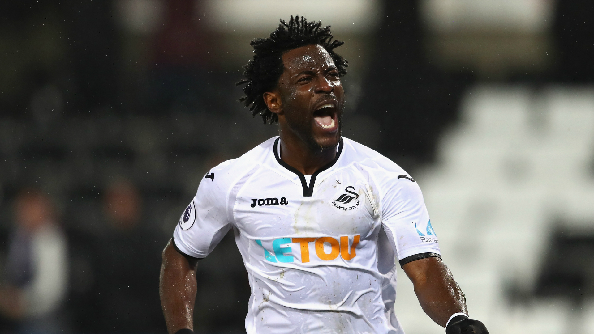 wilfried bony