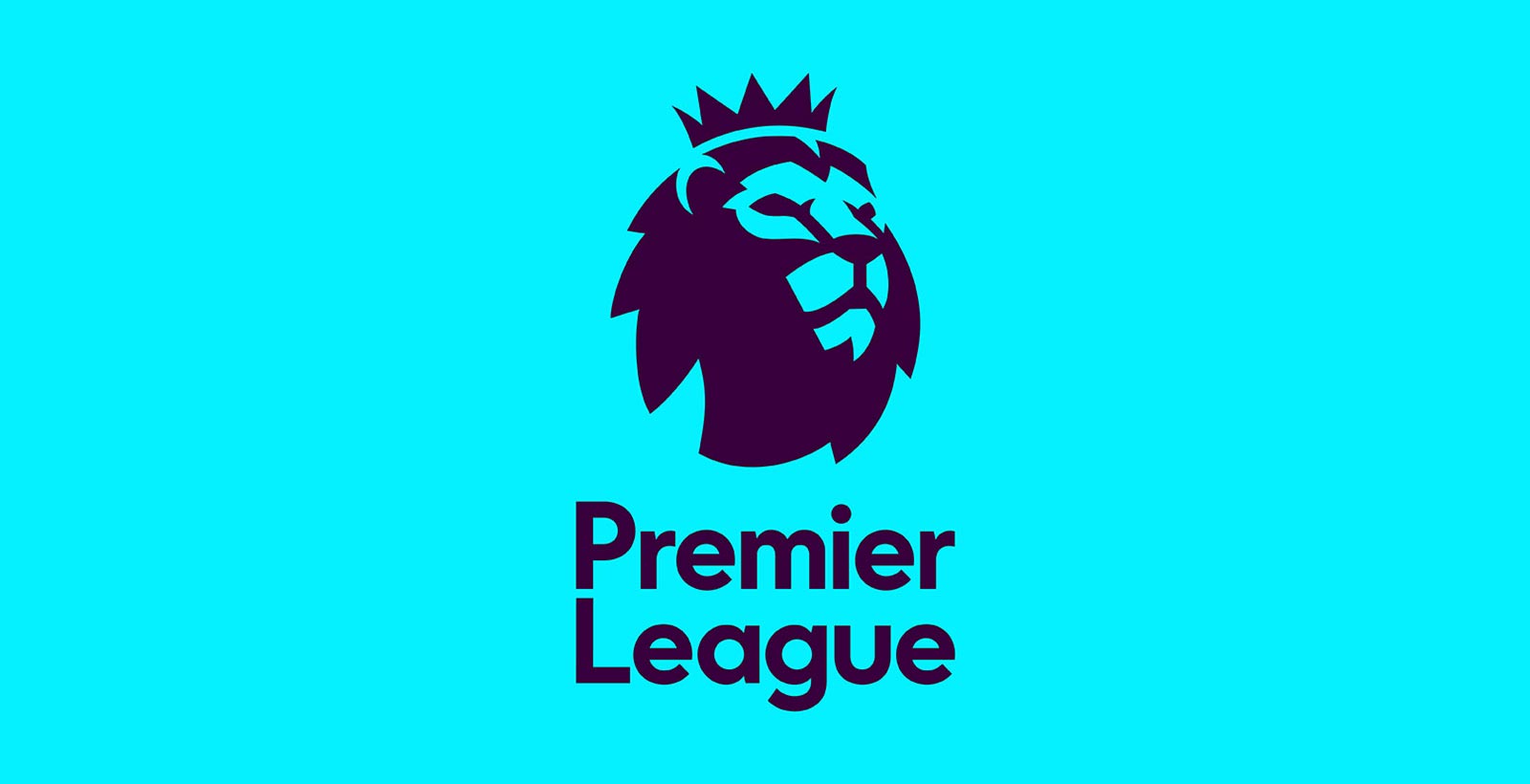 new premier league logo 2016 17 8