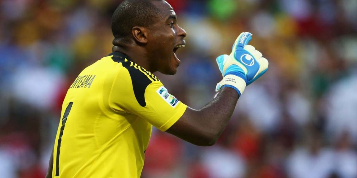 vincent enyeama t