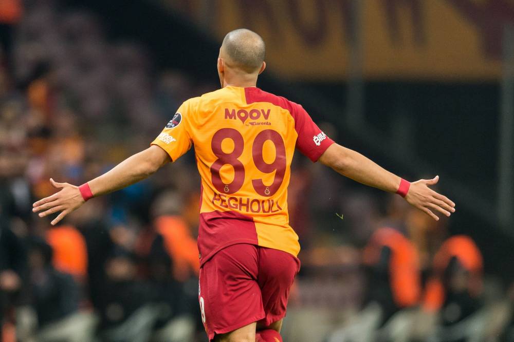 feghouli 2