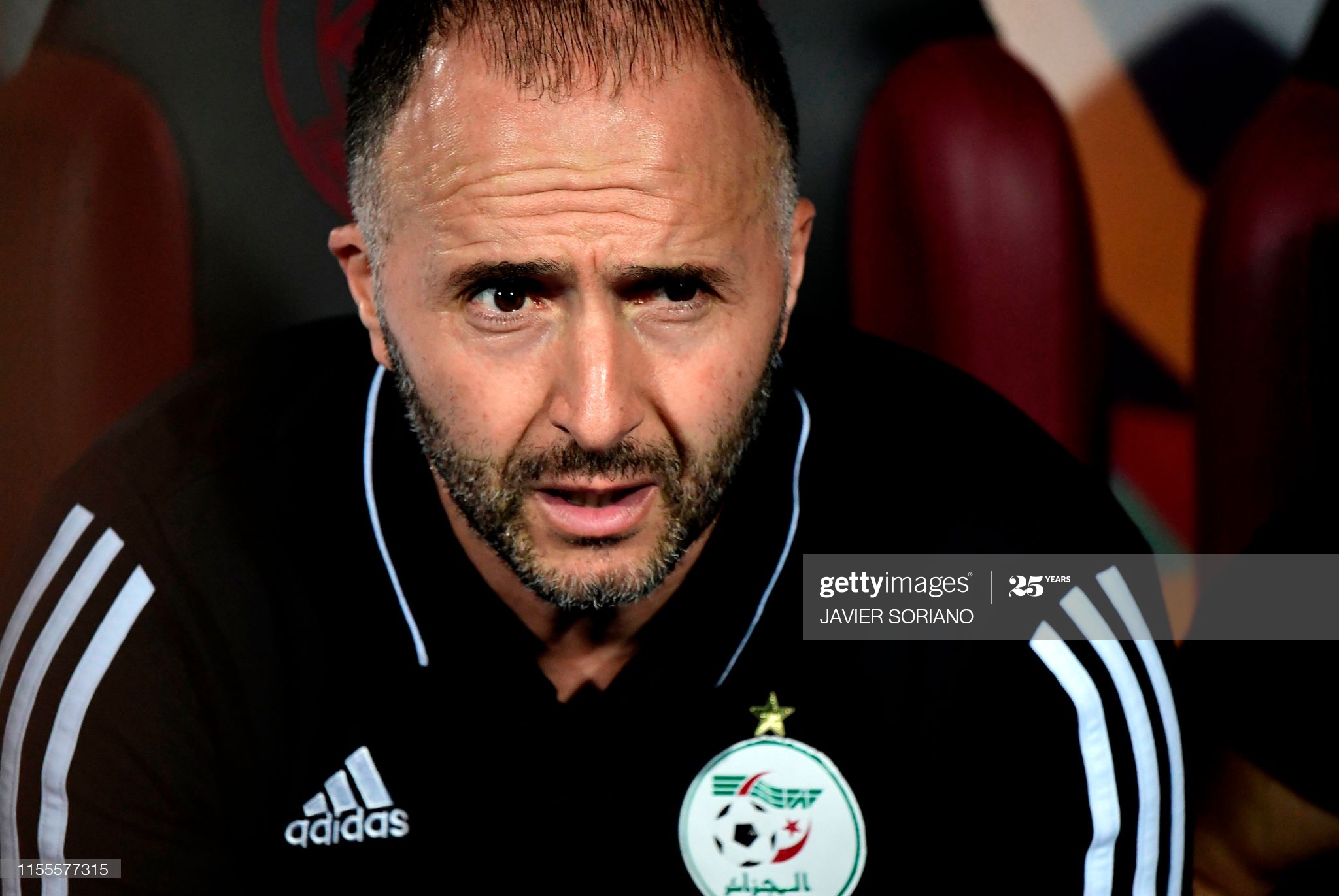 Algérie: Belmadi aurait fait son choix pour le remplaçant de Guédioura