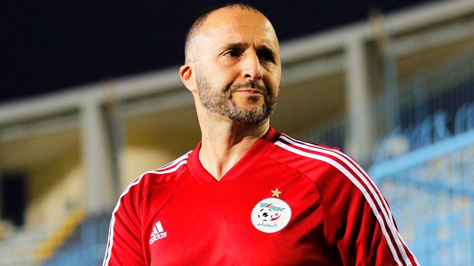 Belmadi : « Les joueurs ont envie d’aller battre le record des Egyptiens »