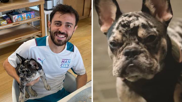 Bernardo Silva donne le nom d’un coéquipier de Manchester City à son chien, en toute hilarité