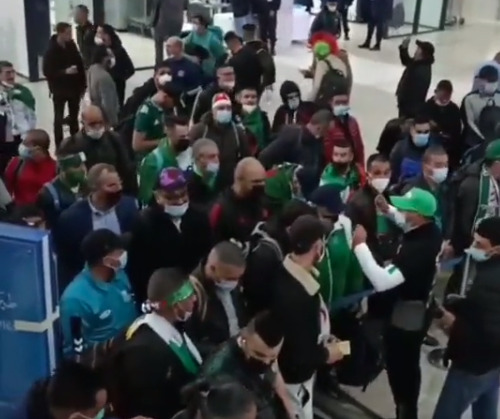Près de 154 supporters algériens attendus au Cameroun pour encourager les Fennecs (Vidéo)