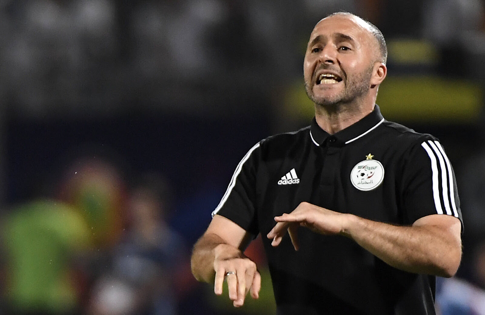 Belmadi et sa crainte pour l’Algérie : « Le seul souci, c’est…»