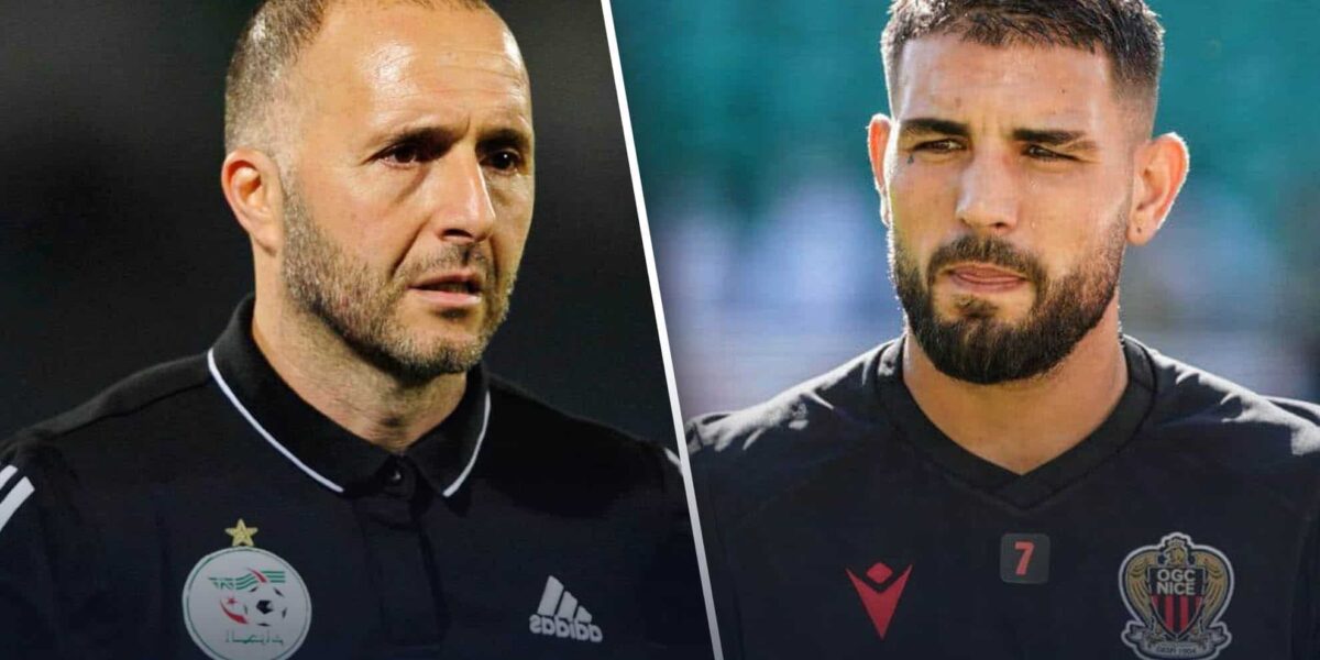 andy delort djamel belmadi