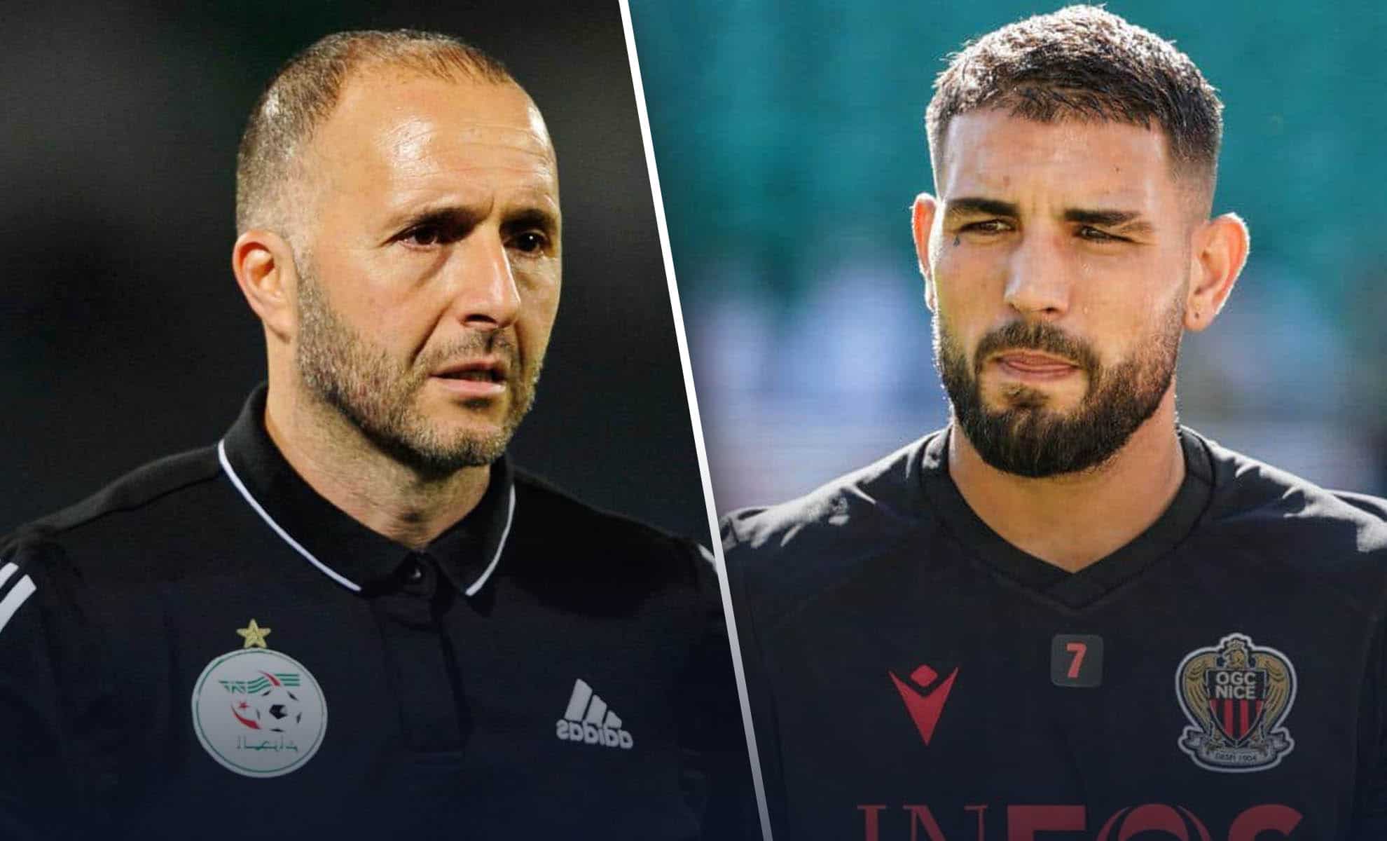 andy delort djamel belmadi