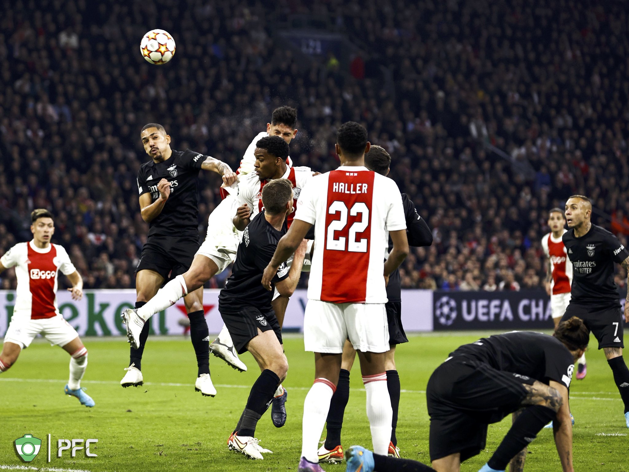 Ligue des champions : L’Ajax éliminé par Benfica