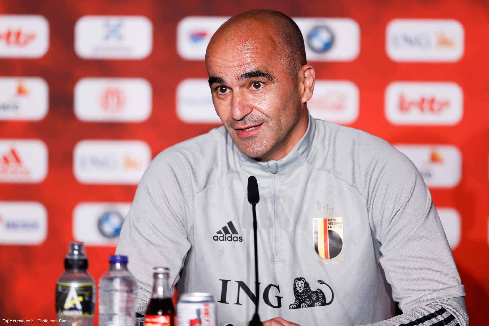 Roberto Martinez Belgique