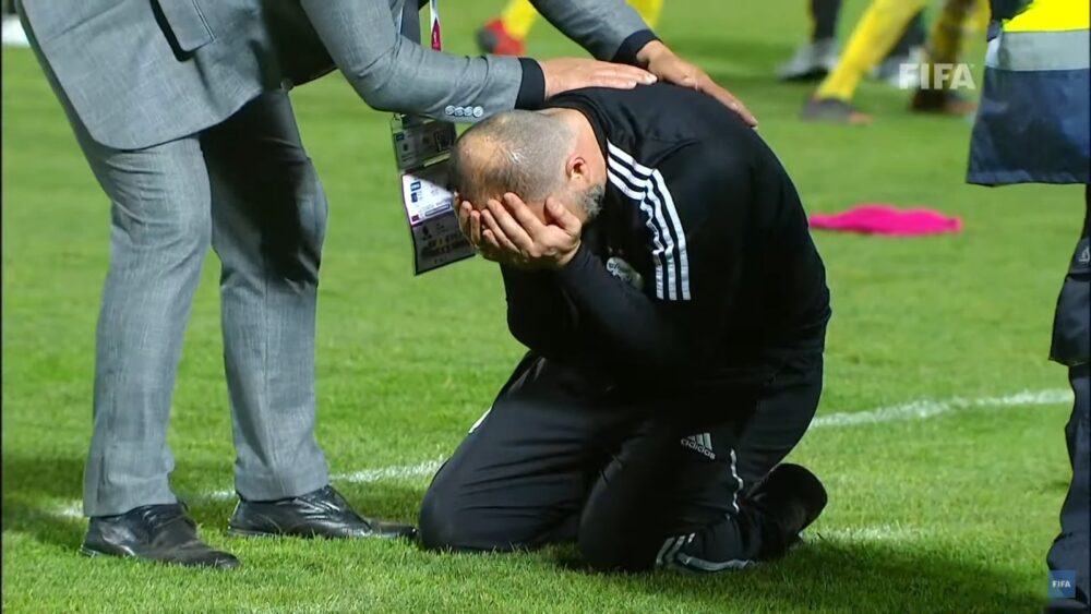 belmadi 1000x563 1