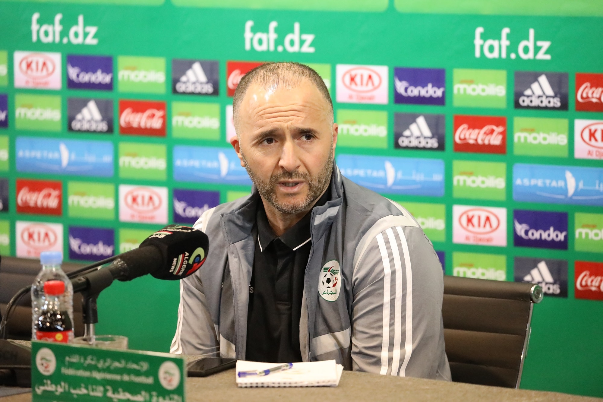 Belmadi réagit à la victoire face aux Super Eagles