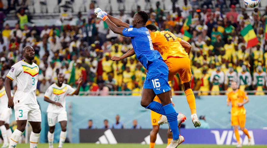 Edouard Mendy vs Pays Bas