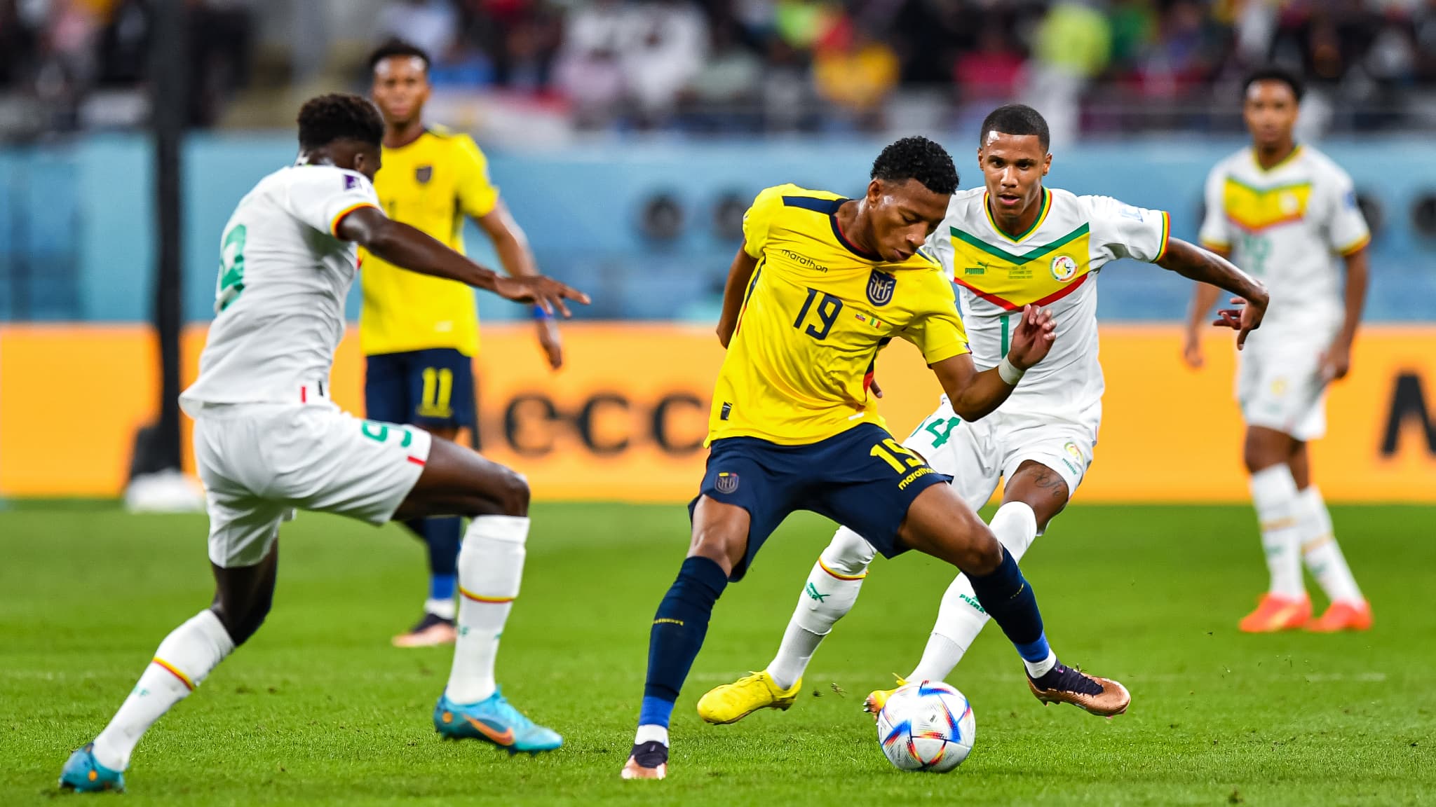Equateur Senegal a la Coupe du monde 1530493