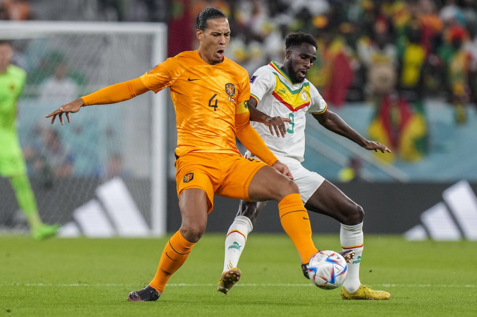 Coupe du Monde 2022 : Généreux dans l’effort, le Sénégal tombe face aux Pays Bas