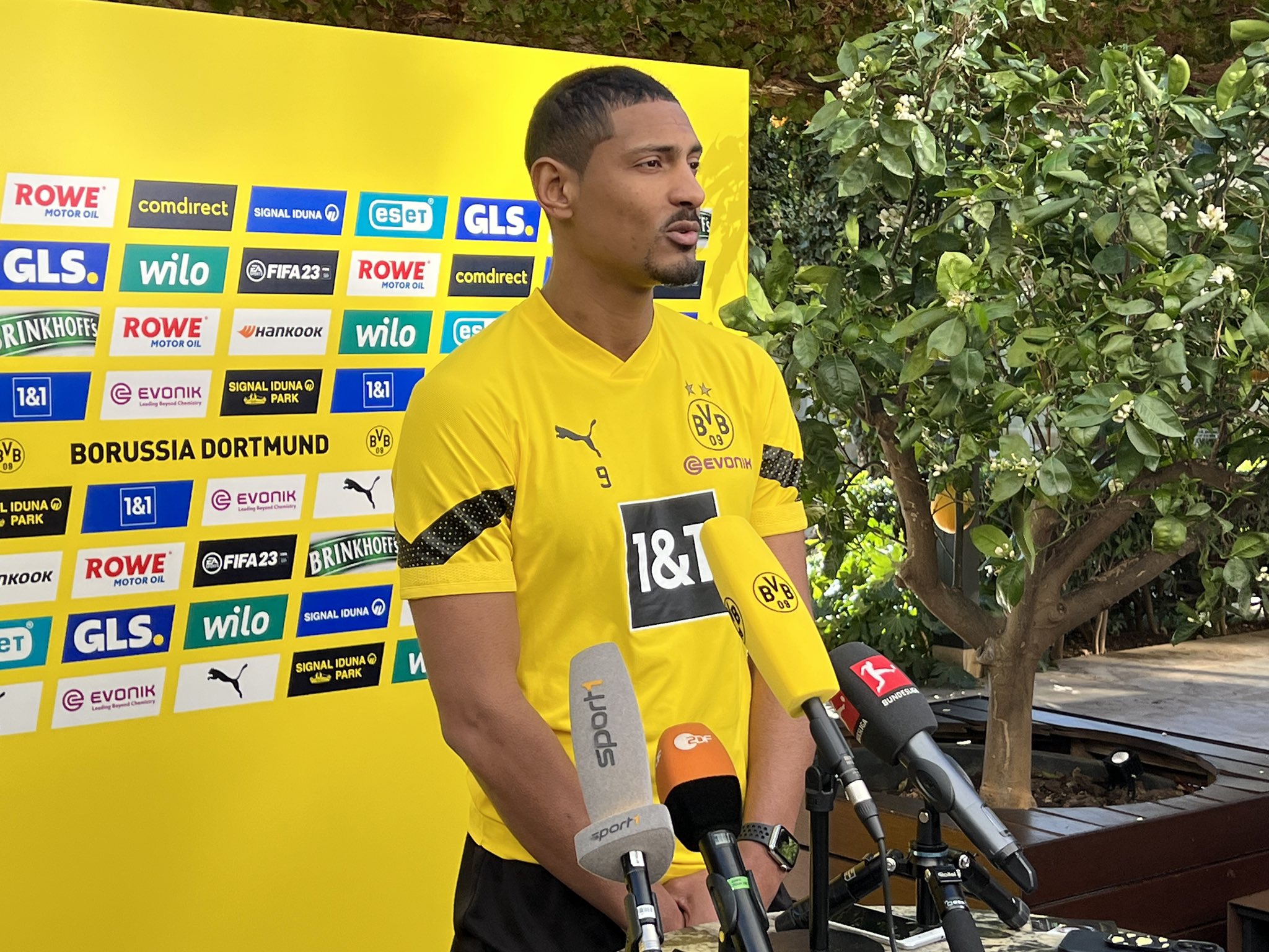 Dortmund : De retour à l’entraînement, Haller annonce la couleur