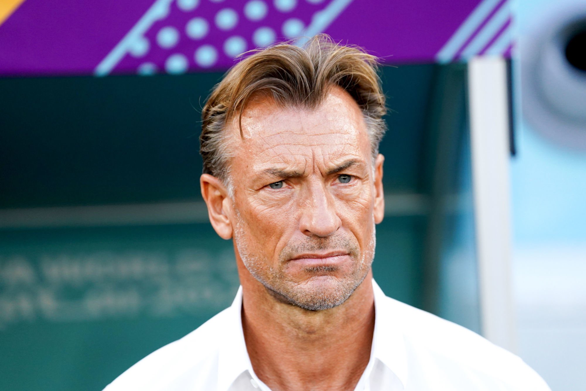 Un club de Ligue 1 se lance sur Hervé Renard, l’Arabie Saoudite menacée