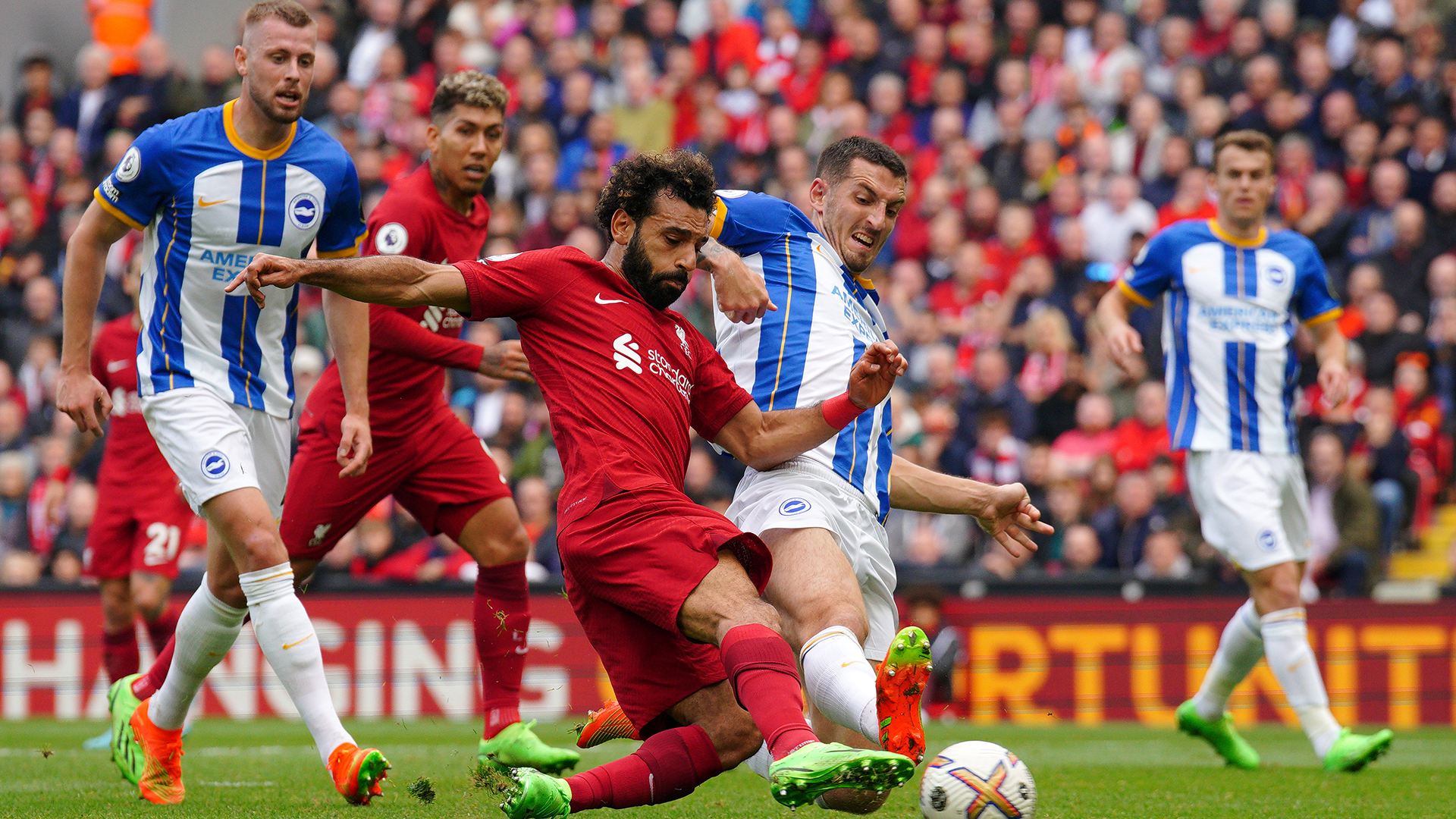 Gakpo et Salah titulaires, les équipes officielles de Brighton – Liverpool