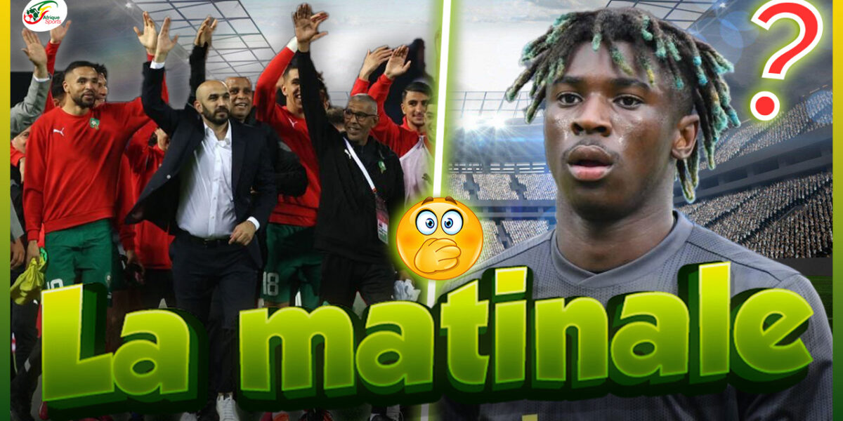 MATINALE 6
