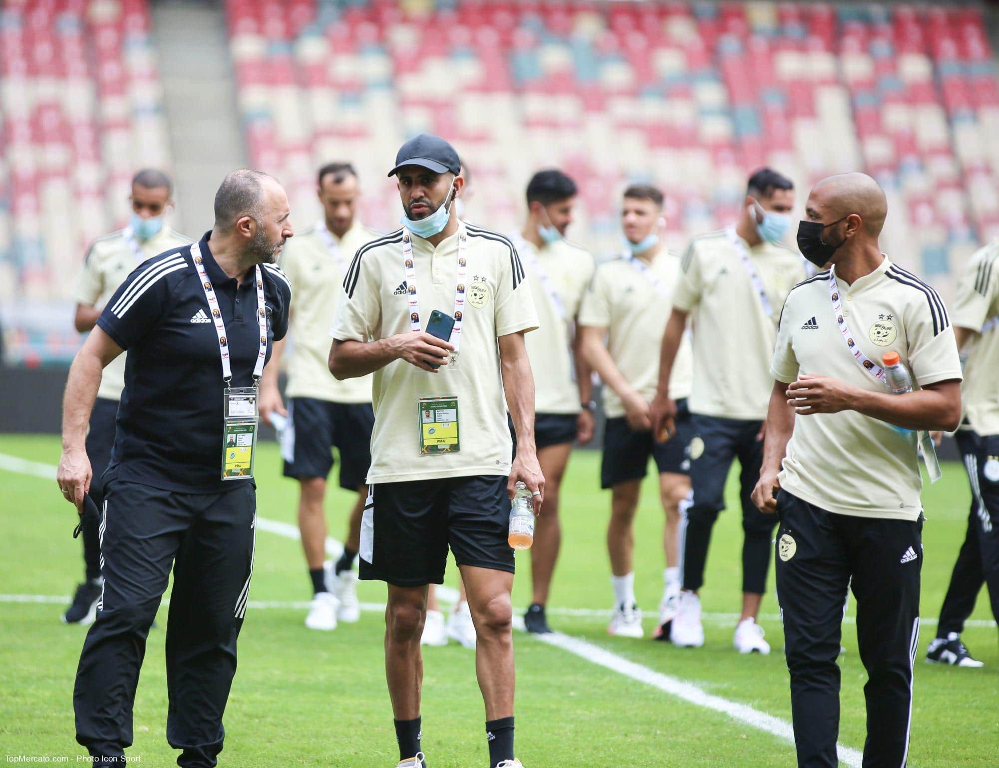 djamel Belmadi Riyad Mahrez Yacine Brahimi Algerie CAN 2022