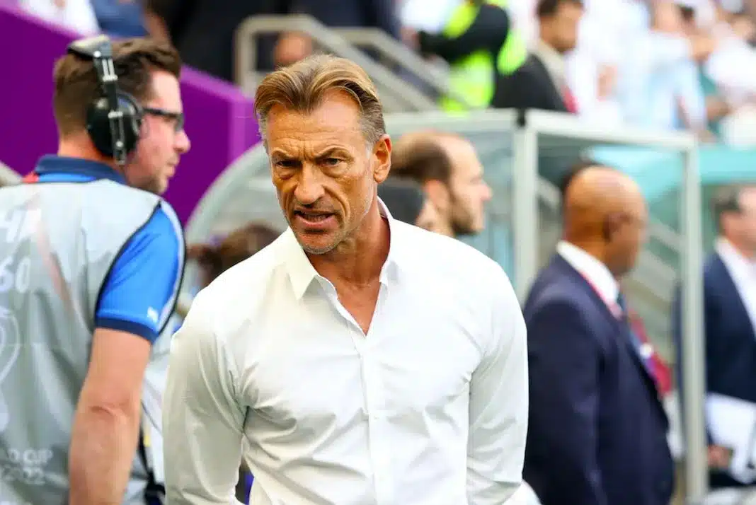 herve renard le reve bleues