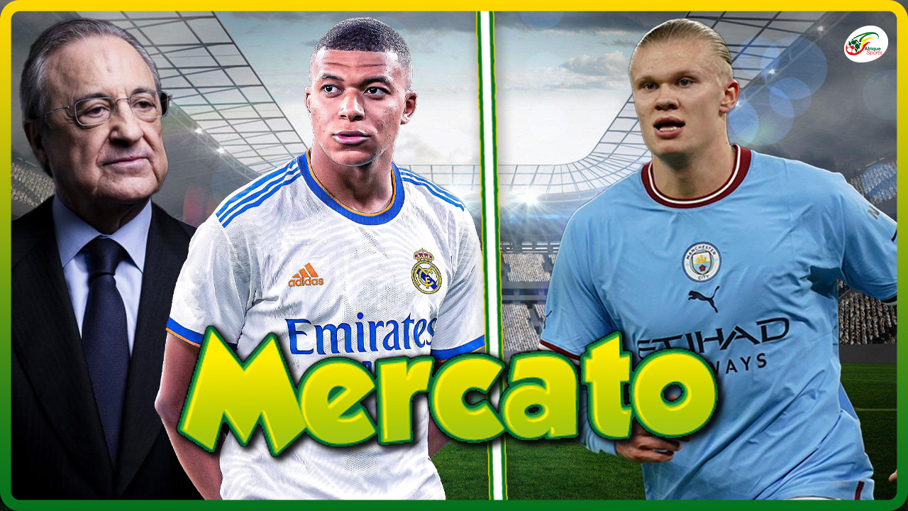 Mercato 6