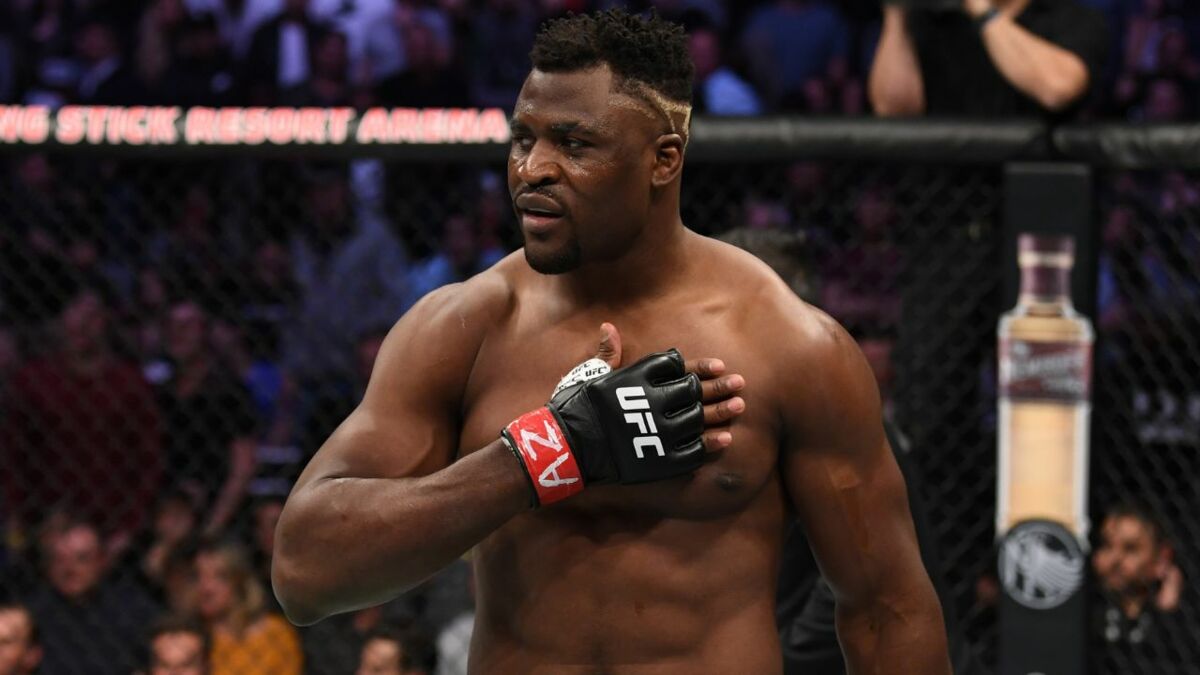 francis ngannou a repris les sparrings a l entrainement