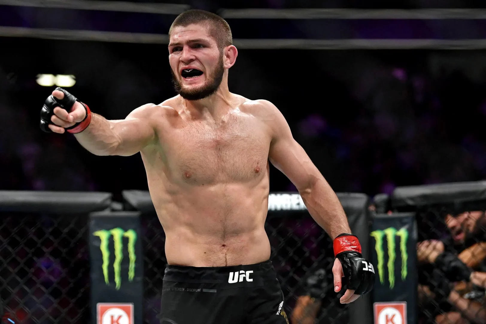 Khabib Nurmagomedov, ancien champion de l'UFC