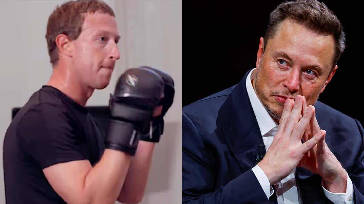 MMA Elon Musk Mark Zuckerberg UFC