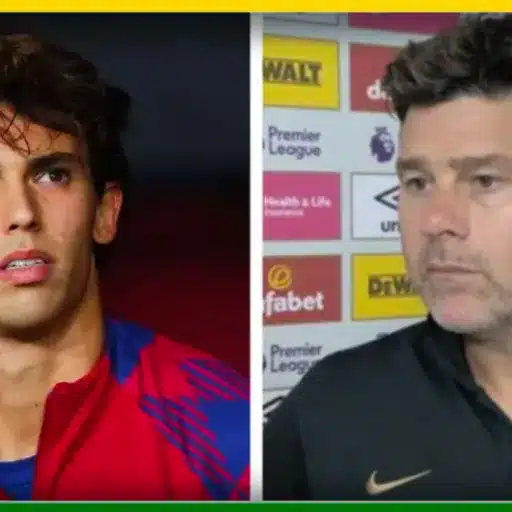 Romano cite la raison principale pour laquelle Pochettino a décidé de ne pas transférer Felix mor 46