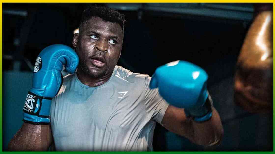 Sénégal – Cameroun : Francis Ngannou lance le choc des Lions à la CAN 2023