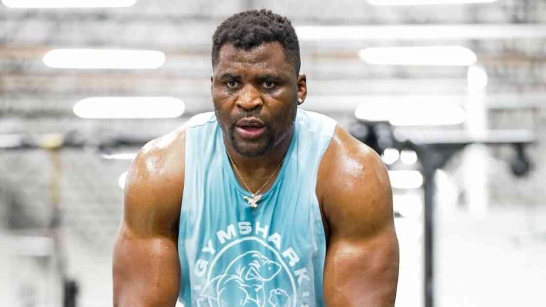 Quelle est la fortune de Francis Ngannou ?