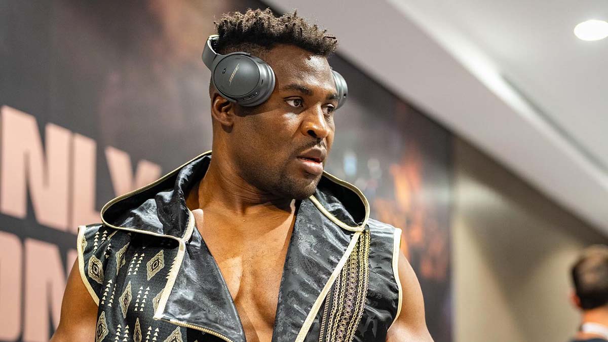 francis ngannou boxe mma